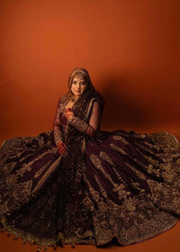 Zeb un Nissa  Latest Article By MNR 2026 COLLECTION  AVAILABLE FOR RENT IN PAKISTAN