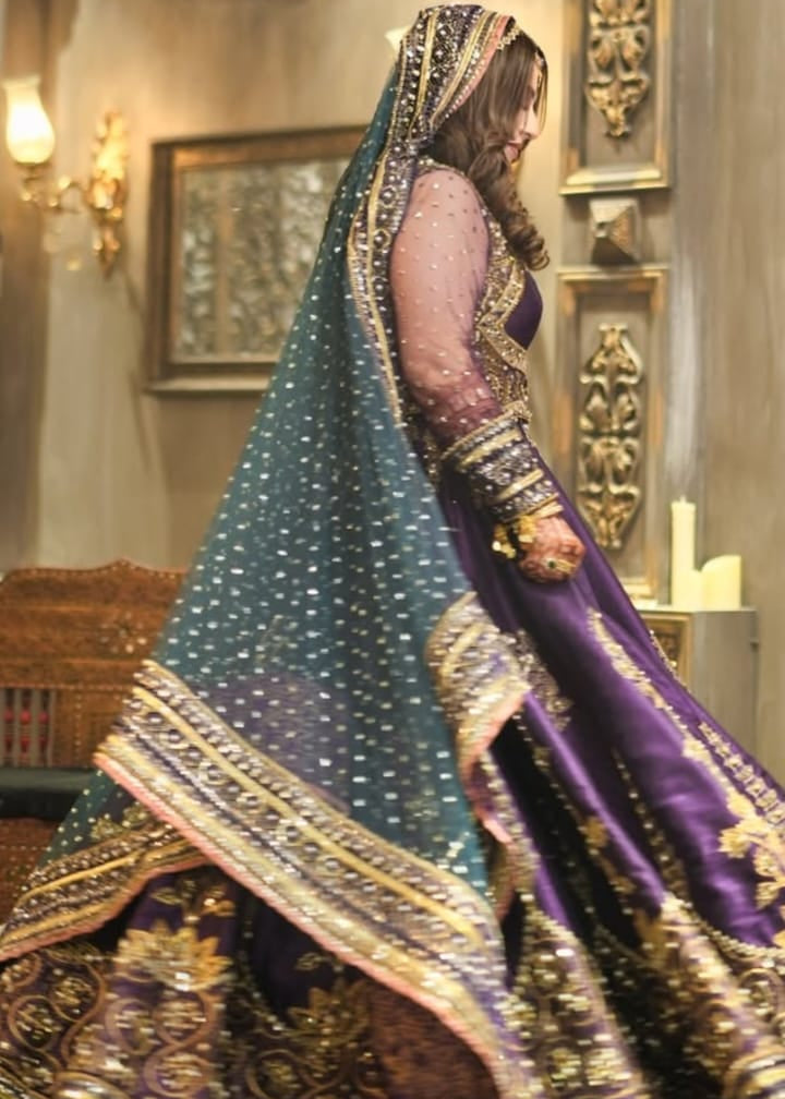 Zeb un Nissa Latest Article By MNR 2026 COLLECTION AVAILABLE FOR RENT IN PAKISTAN